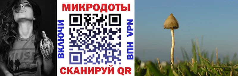Галлюциногенные грибы Cubensis ссылка на мегу Сосновый Бор